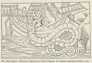 Sea-serpent (engraving) 作者 欧洲学校