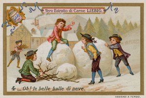 雪球 作者 欧洲学校