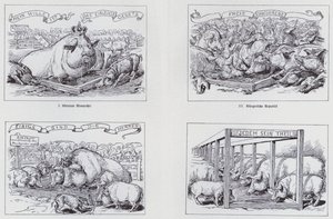 1895 年关于不同政府形式的社会主义漫画（石版画） 作者 欧洲学校