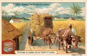 Sugar cane plantation, Cuba (chromolitho) 作者 欧洲学校