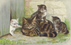 带着三只小猫的虎斑猫（chromolitho） 作者 欧洲学校