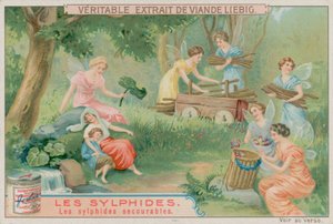 有用的Sylphs 作者 欧洲学校