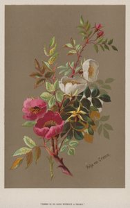 "没有玫瑰就没有荆棘"（chromolitho） 作者 欧洲学校