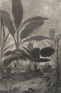 冬季花园（版画） 作者 欧洲学校