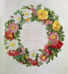 Claude-Antoine Thory Les玫瑰，正面：1817年希腊诗人Anacreon的颂歌与Ode V的铭文（石版画） 作者 洋蓟风信子