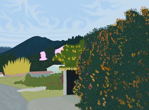 巴拿马奇里基，约 2020-24 年（数字艺术） 作者 埃文·斯克拉