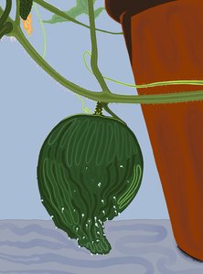 长在花盆里的黄瓜，布鲁克林（数字艺术） 作者 埃文·斯克拉