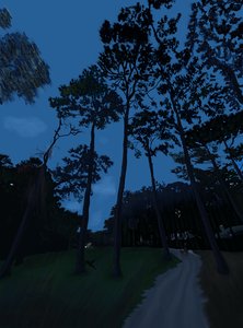 黄昏遛狗（数字艺术） 作者 埃文·斯克拉