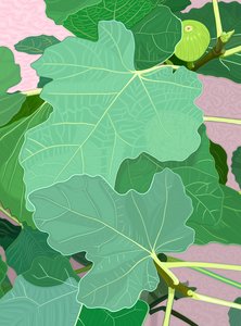 无花果叶和无花果，约 2020-24 年（数字艺术） 作者 埃文·斯克拉