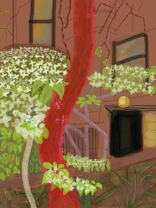 开花的山茱萸树，2015 年（用 Apple 铅笔在 iPad 上手绘） 作者 埃文·斯克拉