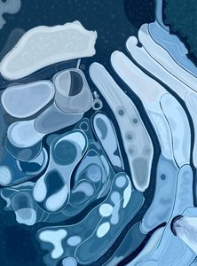 冰冻水坑和狗鼻子（数字艺术） 作者 埃文·斯克拉