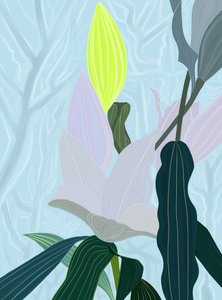 莉莉（数字艺术）