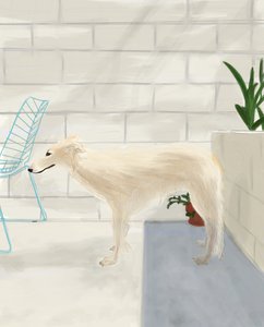 后门廊上的一分钱 2017（用苹果铅笔在 iPad 上手绘） 作者 埃文·斯克拉