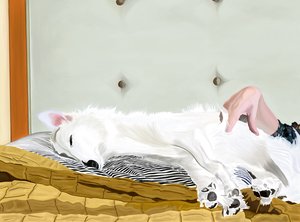 布鲁克林黄色被子上的一分钱（数字艺术） 作者 埃文·斯克拉