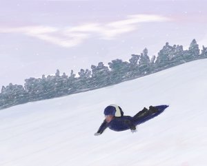 雪橇，哈德逊山谷（数字艺术） 作者 埃文·斯克拉