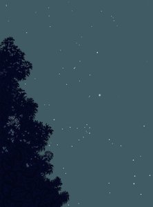  作者 埃文·斯克拉