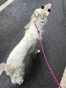 作者 埃文·斯克拉