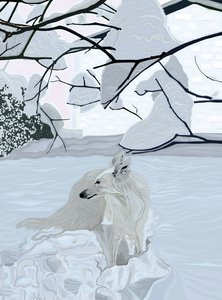 雪地里的白狗（数字艺术） 作者 埃文·斯克拉