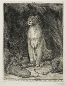 母狮坐着和三只幼崽，1888年 作者 埃弗特·范·穆登