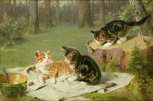 小猫玩