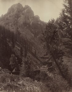 无题》，约1884年。