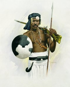 萨卡拉瓦战士 作者 F.拉兰博