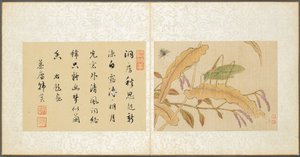 杂项专辑，第 7 叶