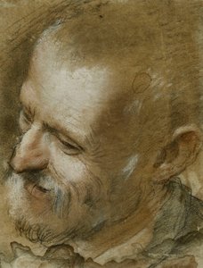 1590年大胡子男人的头部向左转的研究 作者 费德里科·菲奥里（Federico Fiori）Barocci或Baroccio