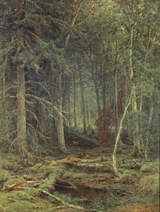 沼泽在森林里，秋天，1872年