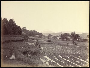 来自新道路的富士山 作者 菲利斯·比托（Felice Beato）
