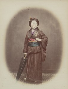 苔藓 作者 菲利斯·比托（Felice Beato）