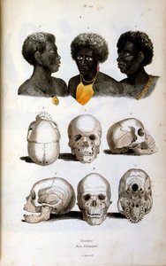描绘埃塞俄比亚种族的人类学插图 作者 菲利克斯·爱德华·盖林
