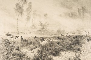 晨雾，1882年。