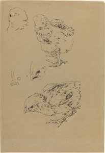 小鸡 作者 费利克斯·布拉克蒙德