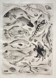 晚餐服务（庐梭服务）：鱼（编号 24） 作者 费利克斯·布拉克蒙德