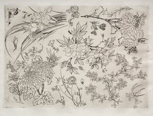 晚餐服务（卢梭服务）：鲜花（第 23 号） 作者 费利克斯·布拉克蒙德