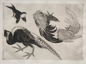 晚餐服务（卢梭服务）：野鸡和鸟（第 18 号） 作者 费利克斯·布拉克蒙德