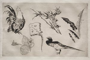 晚餐服务（卢梭服务）：公鸡、鳐鱼、植物等（第 9 号） 作者 费利克斯·布拉克蒙德