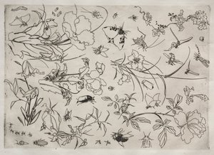 晚餐服务卢梭服务：没有花和昆虫。 1866年15月15日。