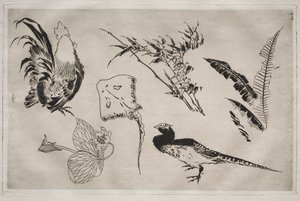 晚餐服务卢梭服务：公鸡，溜冰鞋，植物等。 1866年9月9日。 作者 费利克斯·布拉克蒙德