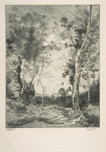 《白马》，1858年。 作者 费利克斯·布拉克蒙德