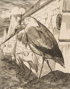 Les Cigognes, 1870s., 1870s. 作者 费利克斯·布拉克蒙德