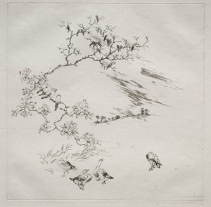 巴黎服务（哈维兰服务）：夜景（第 7 号） 作者 费利克斯·布拉克蒙德