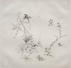 巴黎服务（哈维兰服务）：斯诺（第 6 号） 作者 费利克斯·布拉克蒙德