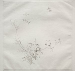 巴黎人服务哈维兰服务：月球号。 1875年5月5日。 作者 费利克斯·布拉克蒙德