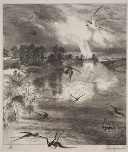 燕子，1882年。 作者 费利克斯·布拉克蒙德