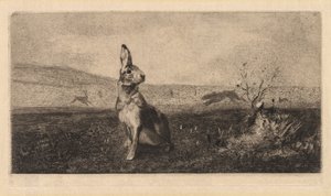 野兔在列弗尔（1865年）。