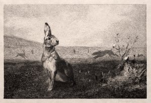 1865年，A。de Balleroy之后的野兔。