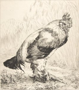 老公鸡》，1882年。