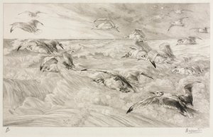 海鸥 作者 费利克斯·布拉克蒙德